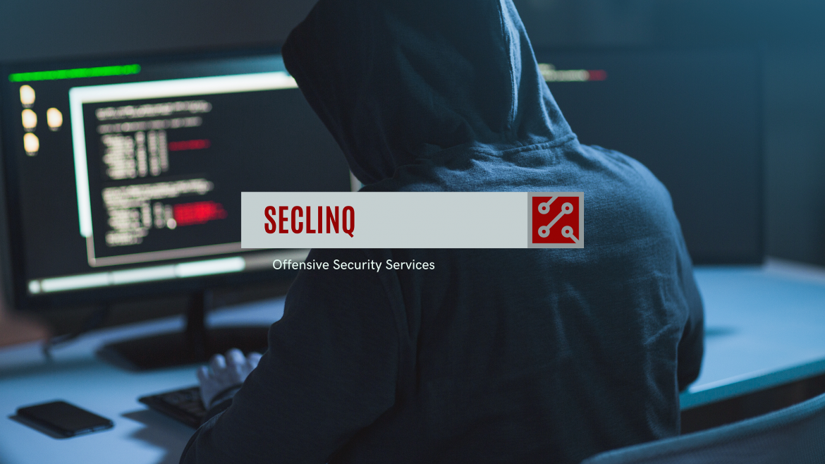 SECLINQ Offensive security Services